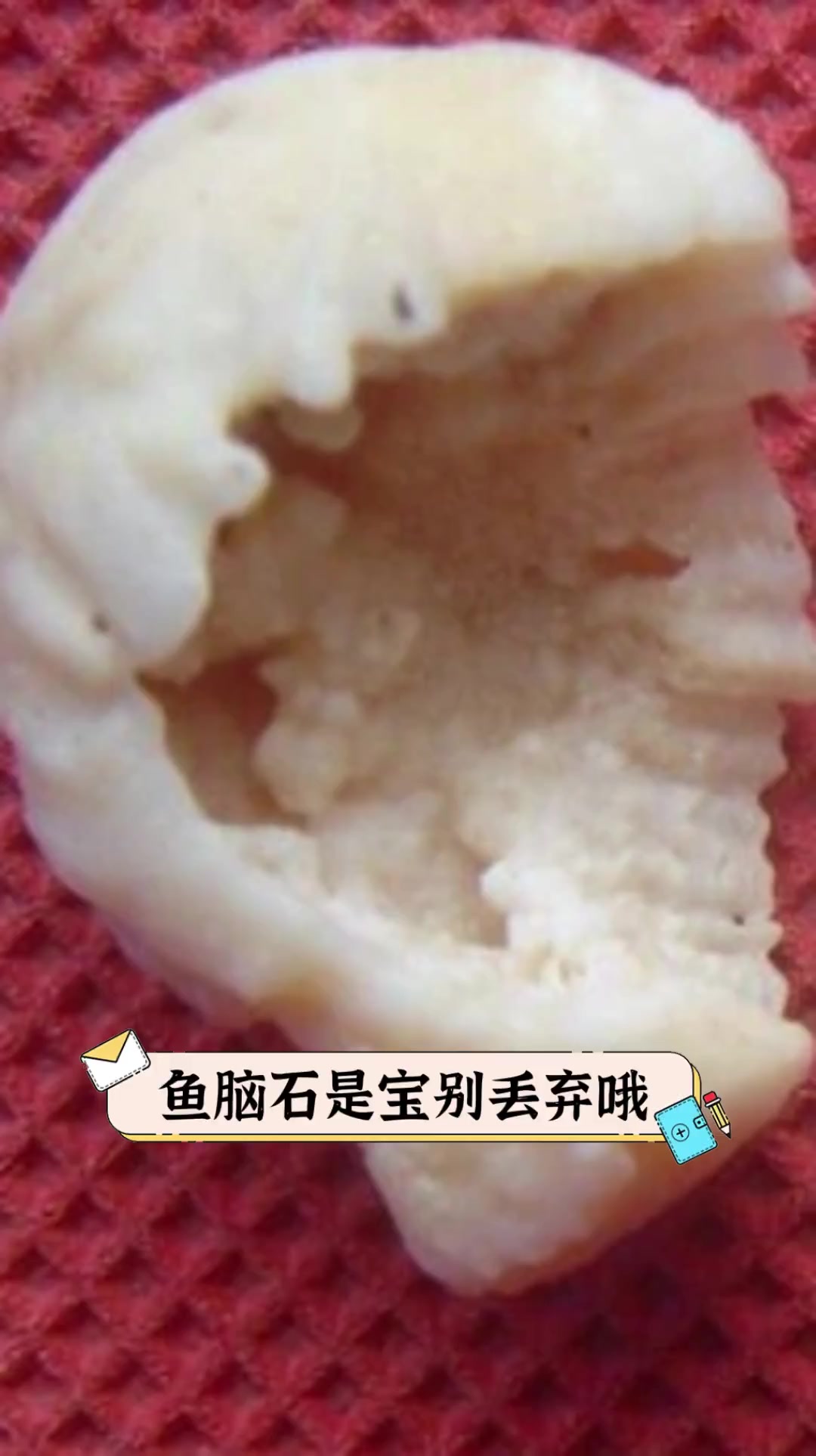 鱼脑石是宝别丢弃哦