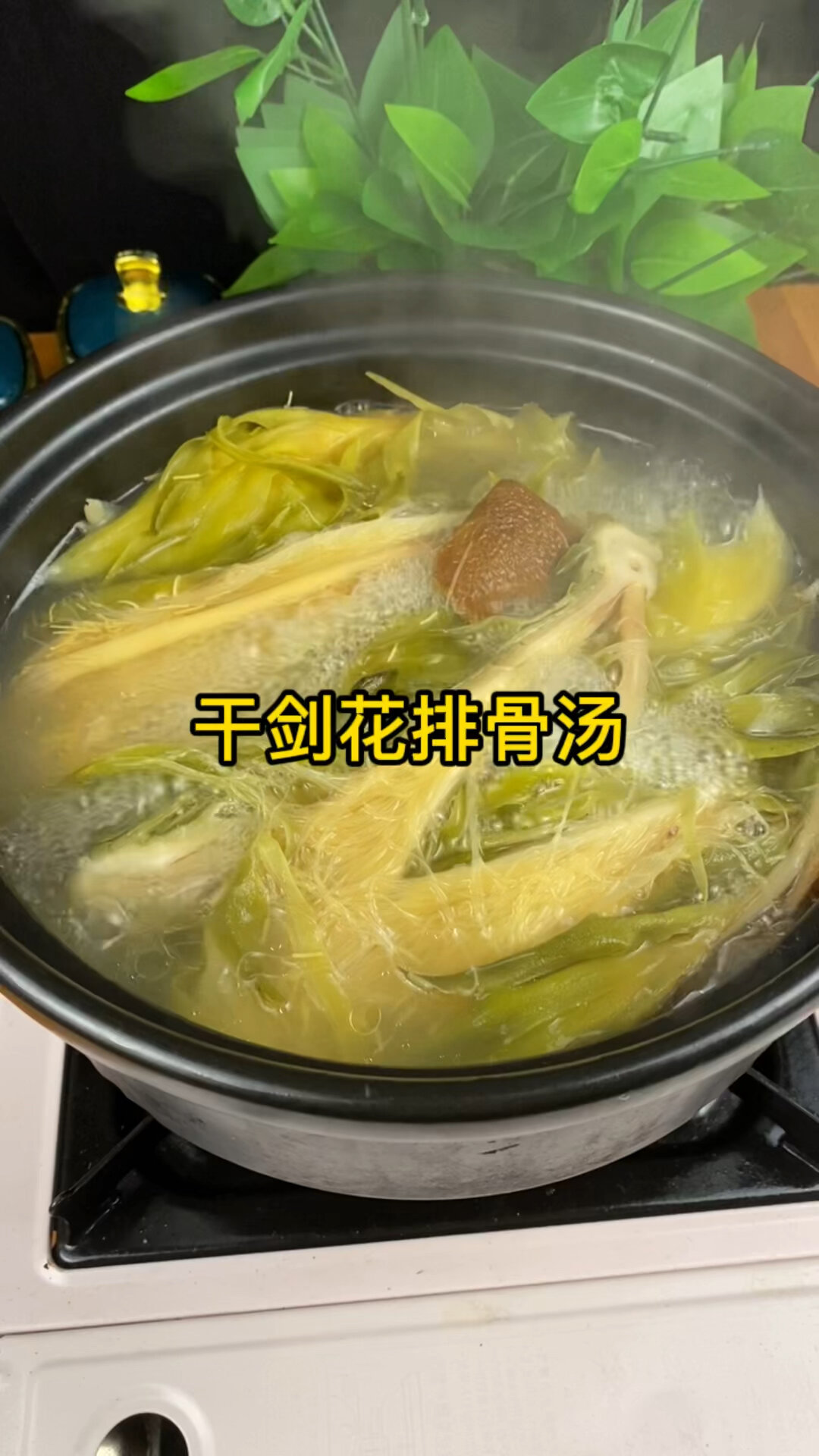 干剑花煲汤
