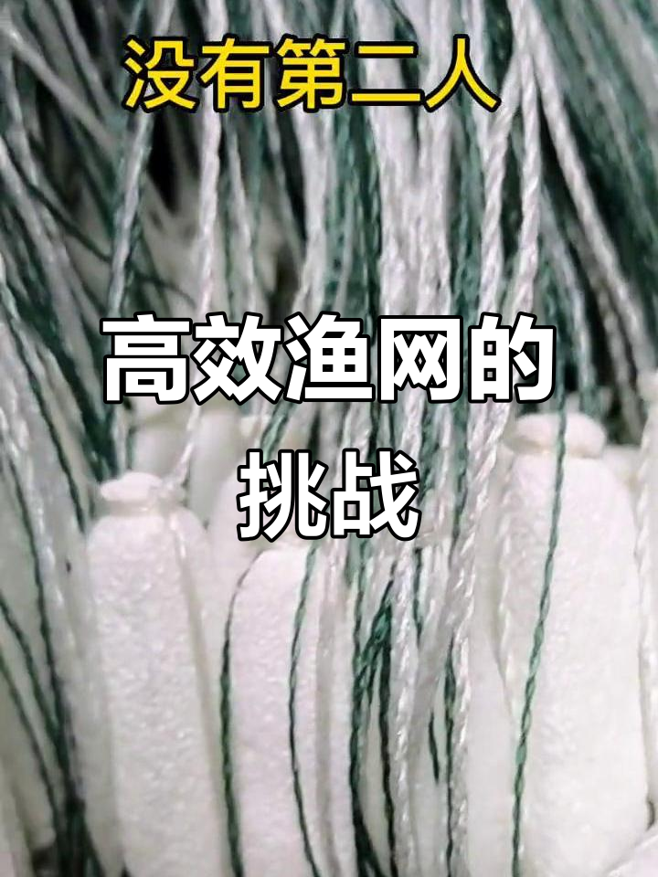 这款网捕鱼效果好,但费时费力价格贵,值得继续做吗?