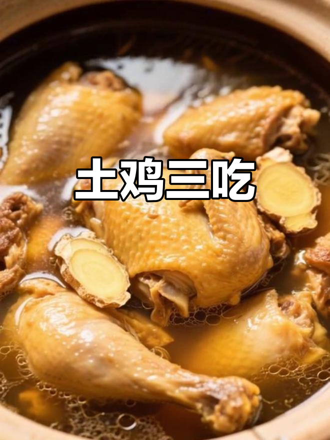 土鸡三种美味做法,黄焖、清炖与蒸制,每一口都让人陶醉!