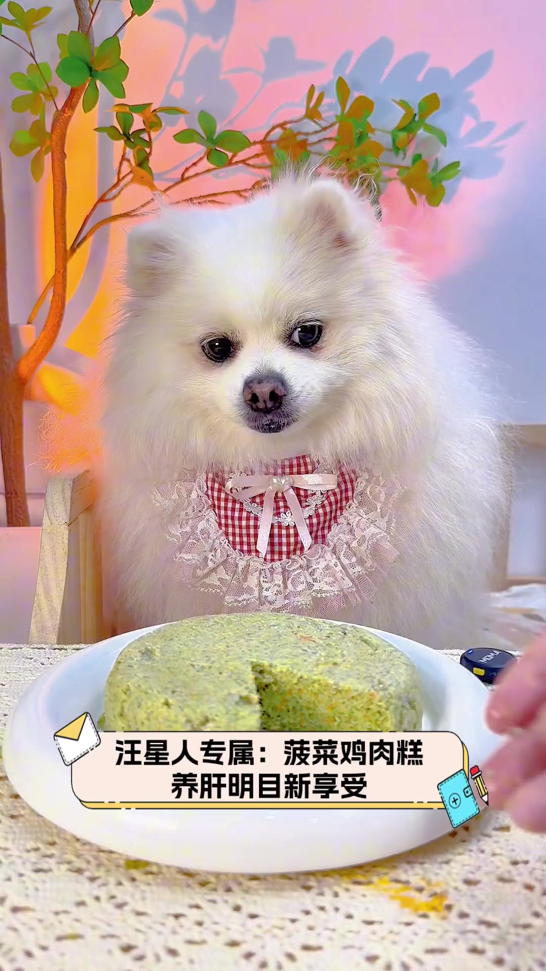 汪星人专属:菠菜鸡肉糕,养肝明目新享受