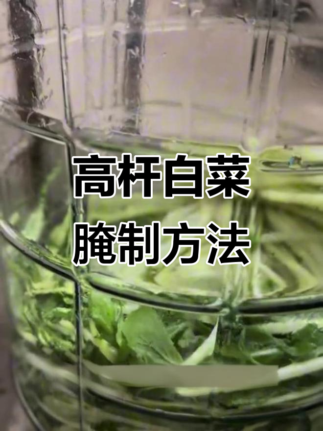 高杆白菜腌菜技巧,轻松做出脆嫩美味