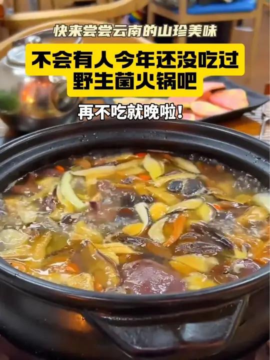 不会有人今年还没吃过野生菌火锅吧,再不吃就晚啦!有意思的云南火锅 总要吃顿云南菌火锅吧 这