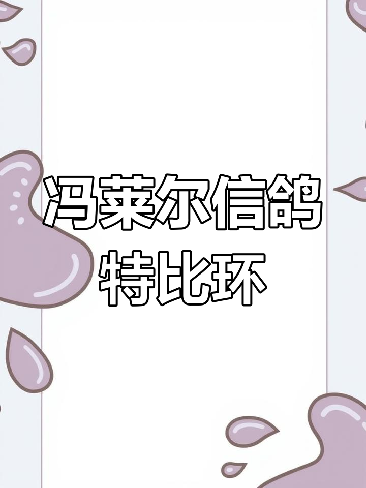 冯莱尔巧克力色信鸽特比环赛精彩瞬间