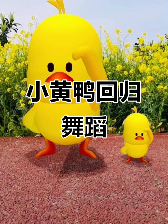 小黄鸭又跳舞,萌态十足!