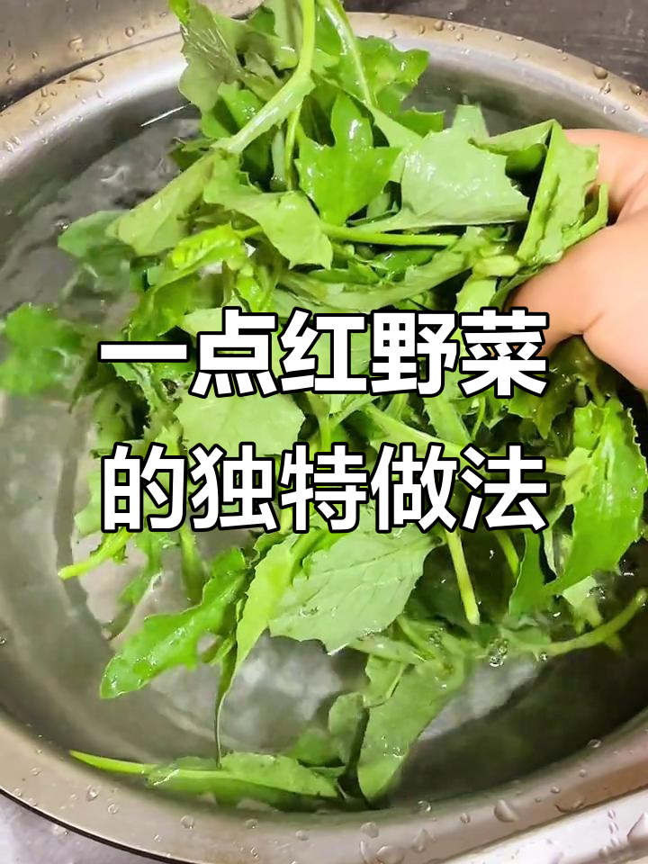 野菜一点红：嫩叶打汤最佳，微苦回甘让人惊艳