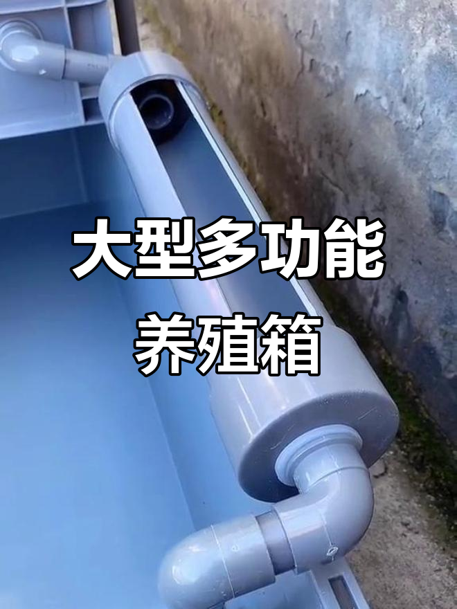 多功能养殖箱，养鱼、龟都能轻松搞定