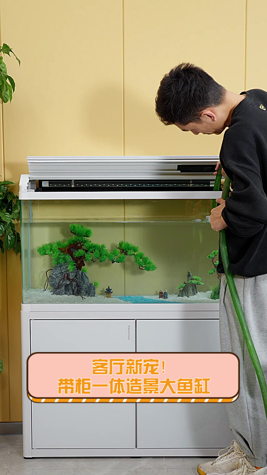 客厅新宠！带柜一体造景大鱼缸