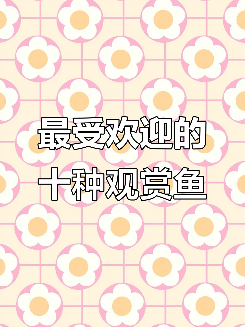 适合家养的十种鱼,最后一种最受女生喜欢