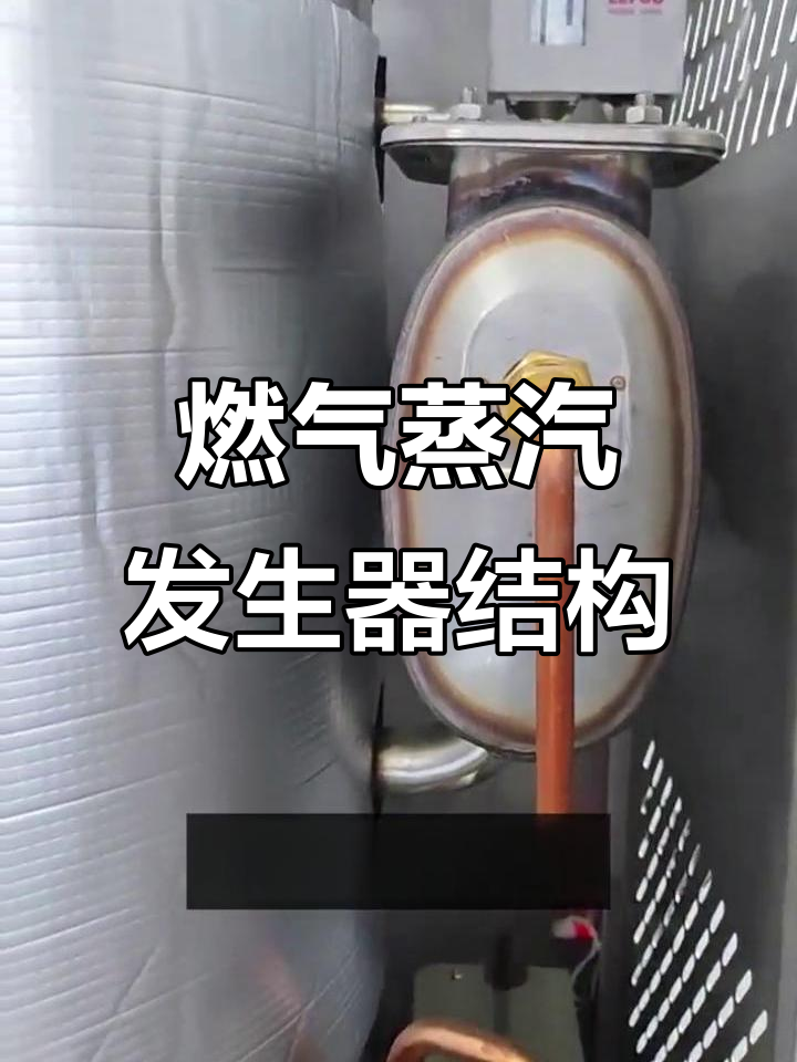 燃气蒸汽发生器内部大揭秘：核心部件与工作原理全解析