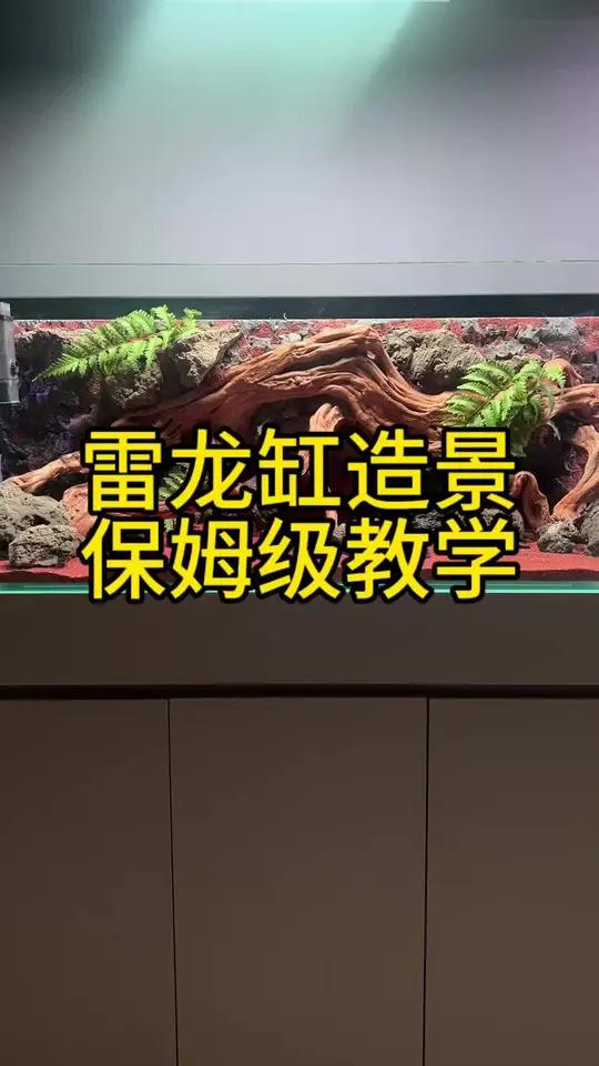 造景教学视频 雷龙缸造景教学视频，简单好操作，有手就能做好。鱼缸里的大自然造景鱼缸雷龙缸造