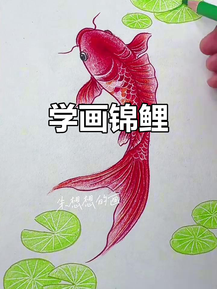高考生加油！画锦鲤，鱼跃龙门，金榜题名