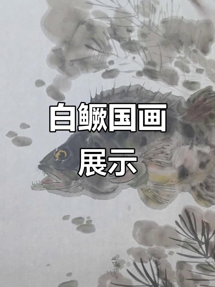 国画鳜鱼:白鳜的写意之美