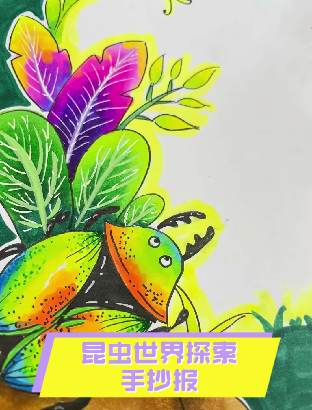 昆虫世界探索——手抄报