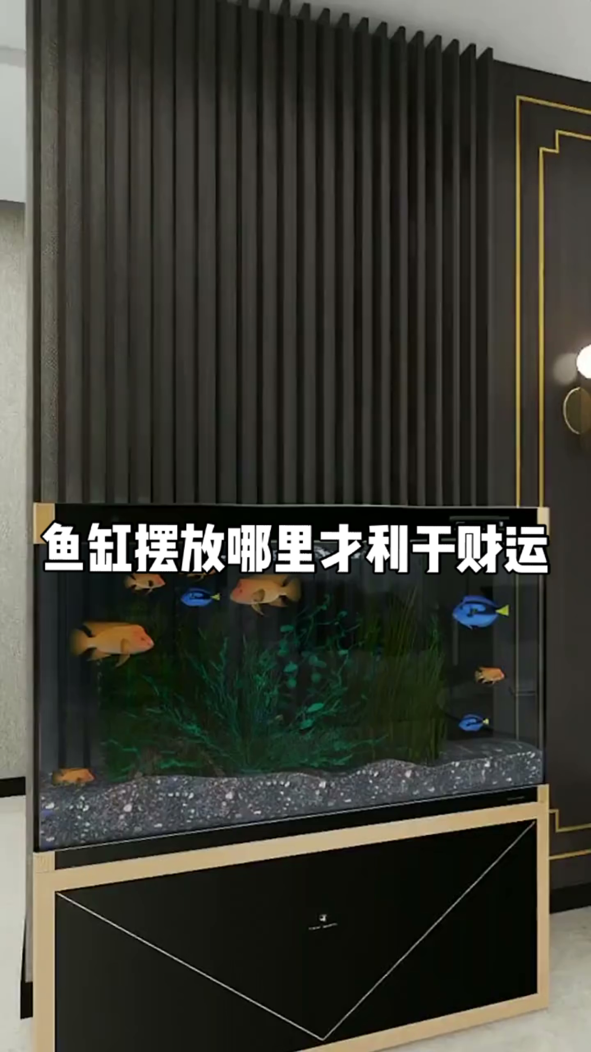 鱼缸放在哪里才利于财运?