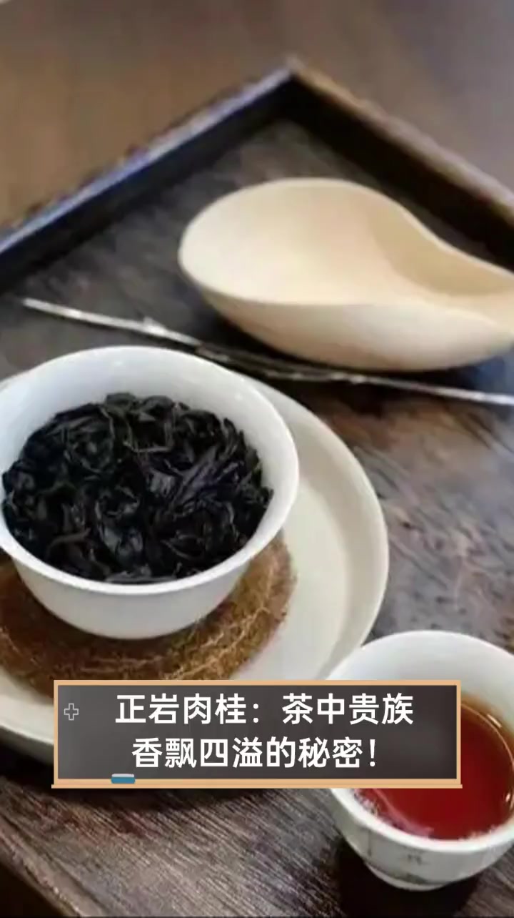 正岩肉桂:茶中贵族,香飘四溢的秘密!