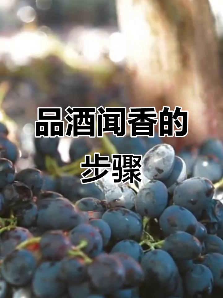 闻香技巧大揭秘:如何分辨葡萄酒的香气与质量