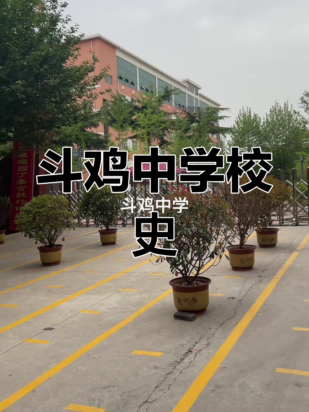 斗鸡中学见证宝鸡历史,地名背后有深意