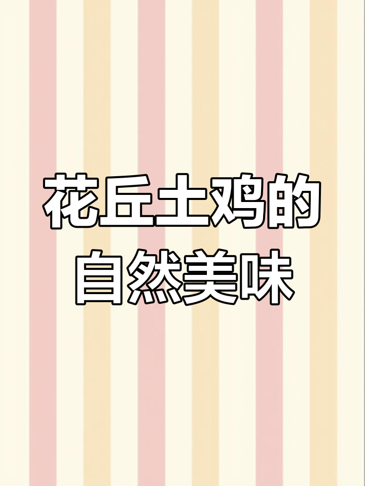 体验高山花秋土鸡,自然养殖的美味秘诀