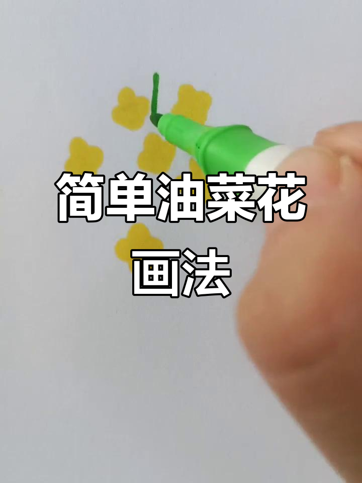 油菜花简笔画教程,轻松画出美丽花朵