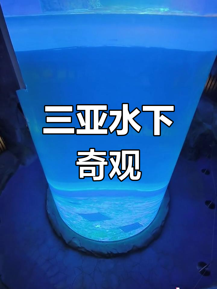 探索三亚亚克力海洋馆,美人鱼表演与奇幻水族世界