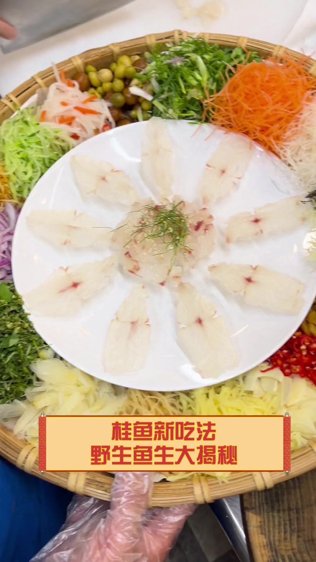 桂鱼新吃法,野生鱼生大揭秘