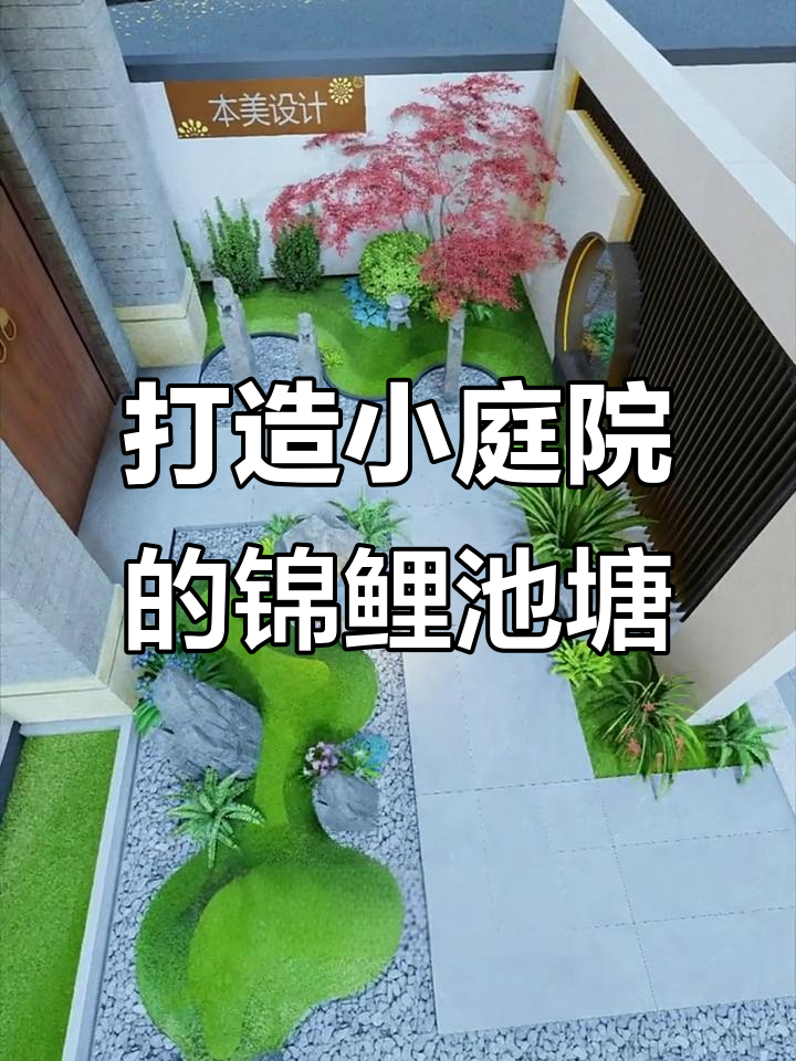 小庭院变身大鱼池，邻居纷纷惊叹！