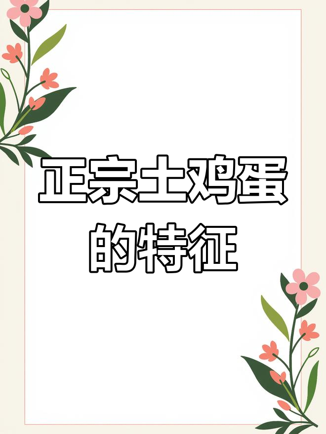 土鸡蛋与普通蛋的区别:如何挑选真正能孵小鸡的鸡蛋
