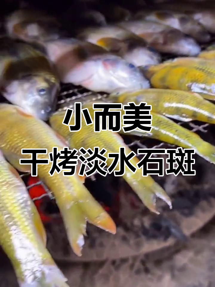 淡水石斑鱼烤制秘诀，骨头都能吃！