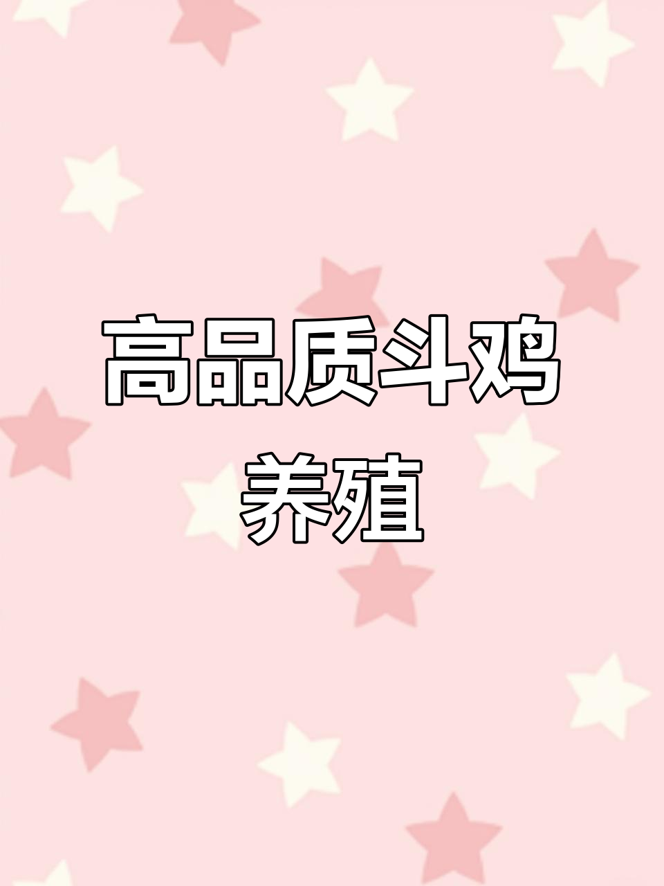 土炮斗鸡养殖,适合全国各地饲养的高质量品种