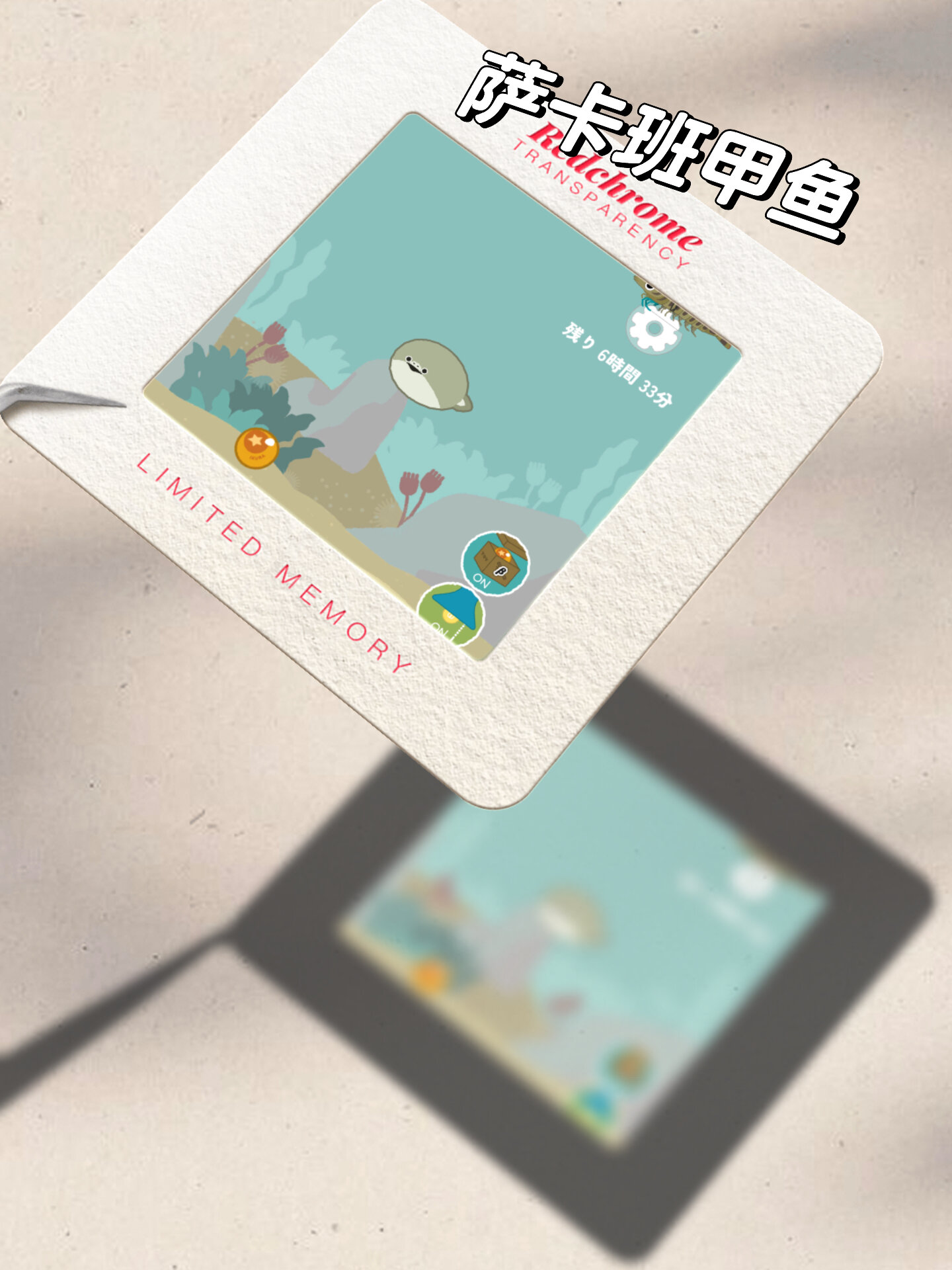 萨卡班甲鱼
