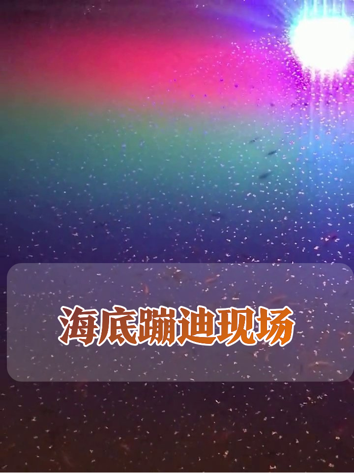 鱼群开派对?彩色灯光下的海底夜店太会了!