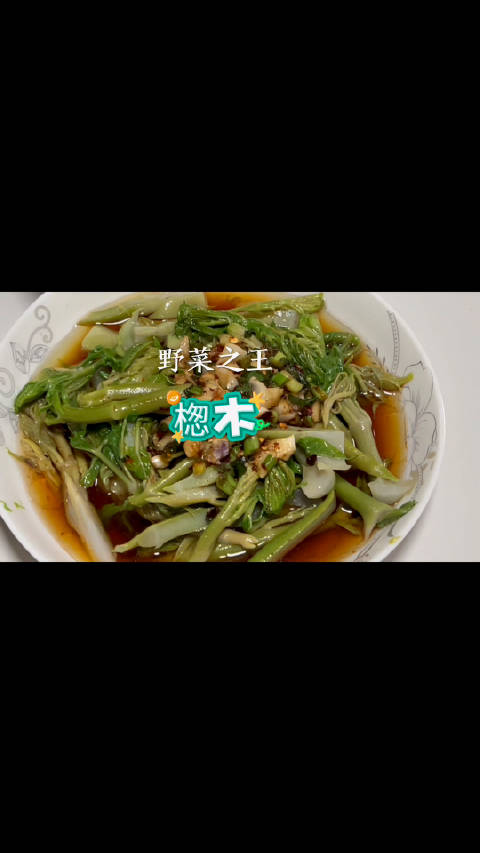 楤木是一种具有高营养价值和多种保健功能的山野菜。楤木,拉丁学名为Aralia elata,