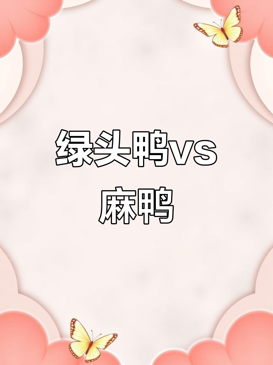 绿头鸭与麻鸭的区别:飞行能力、外貌特征和口感分析