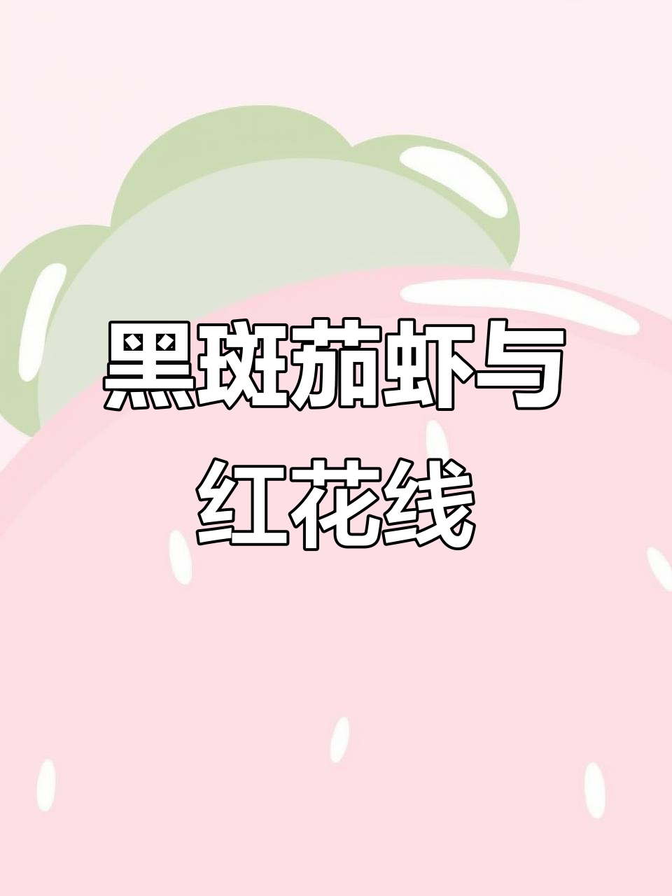 2025年7月10日翔安海鲜自助,黑斑节虾罗士虾齐登场