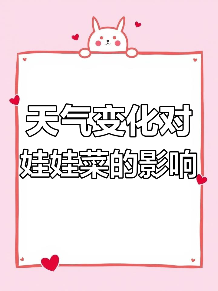 湖北宜城降雨影响娃娃菜供应,陕西咸阳降温或波及批发