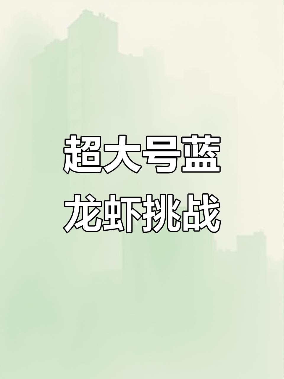 沈阳蓝龙虾大比拼,品质与价格谁更重要?