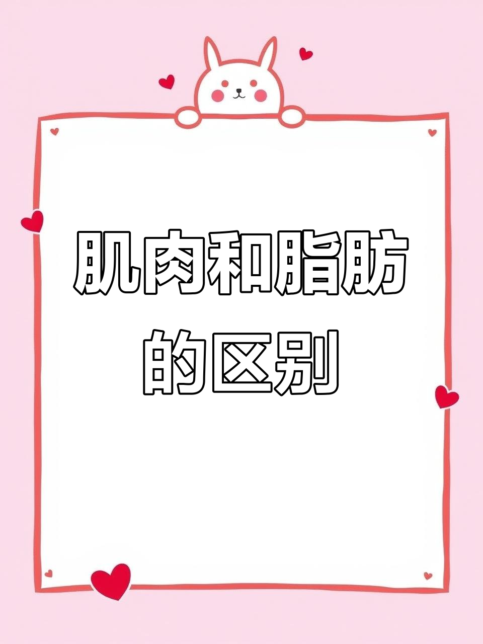 肌肉与脂肪分布大揭秘,原来它们各自“住”在哪!