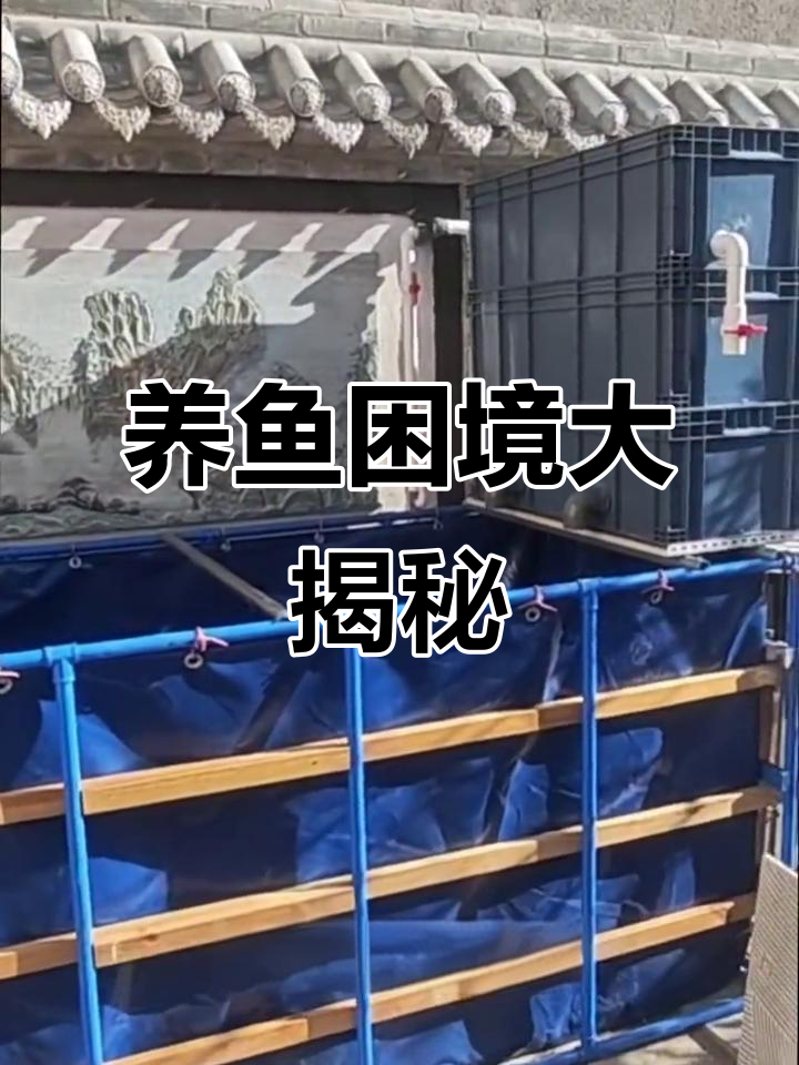 帆布鱼池问题多,外观拉筋失效,虹吸管效率低下!