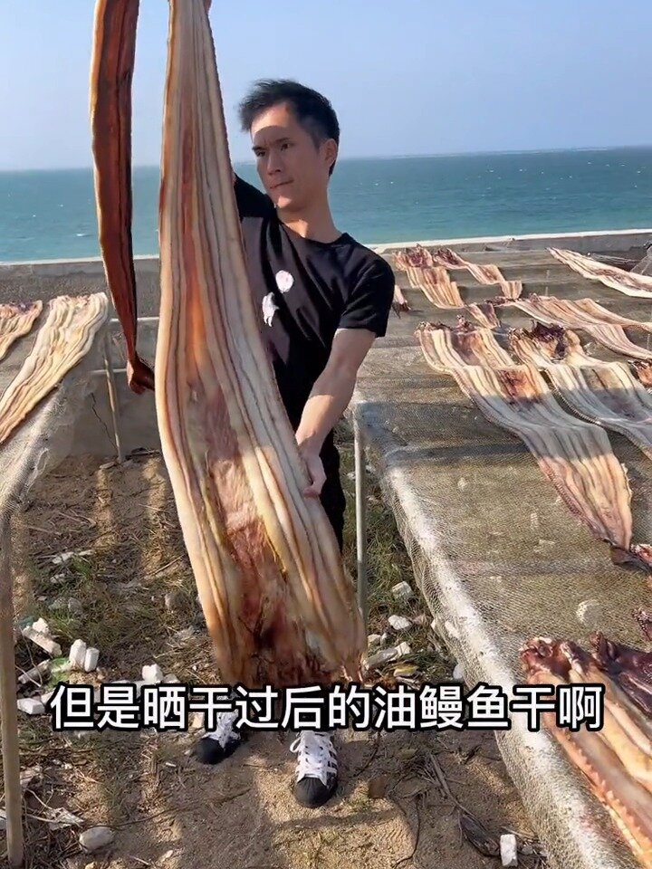 深海野生大花油鳗鱼