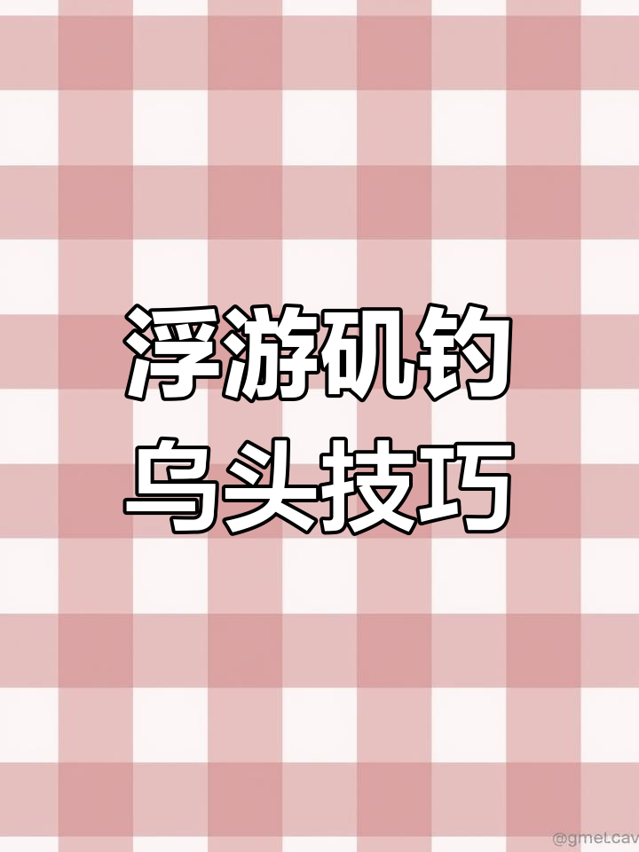乌头鱼的生活习性与钓法解析