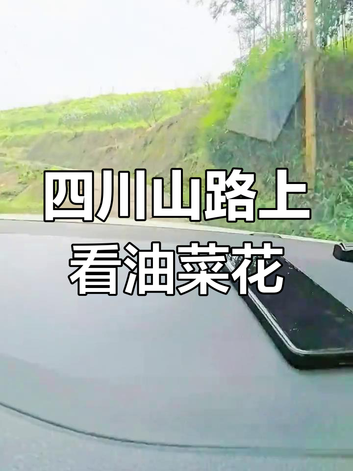 四川山路探秘:油菜花与陡壁的完美结合