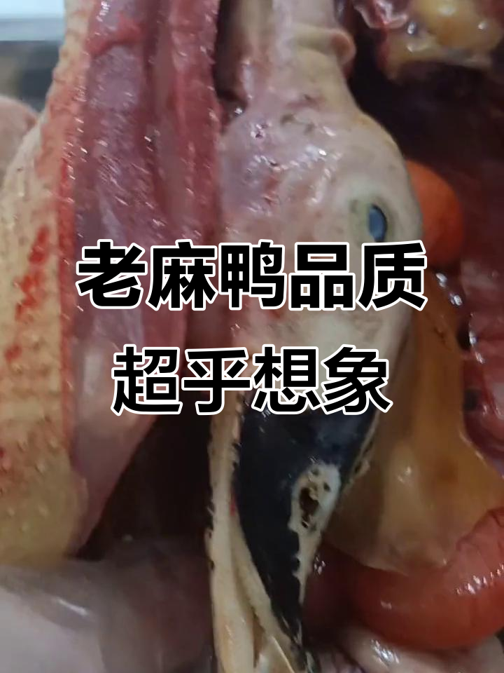 两年老麻鸭,肉质如牛肉般鲜美,蛋壳硬实有弹性