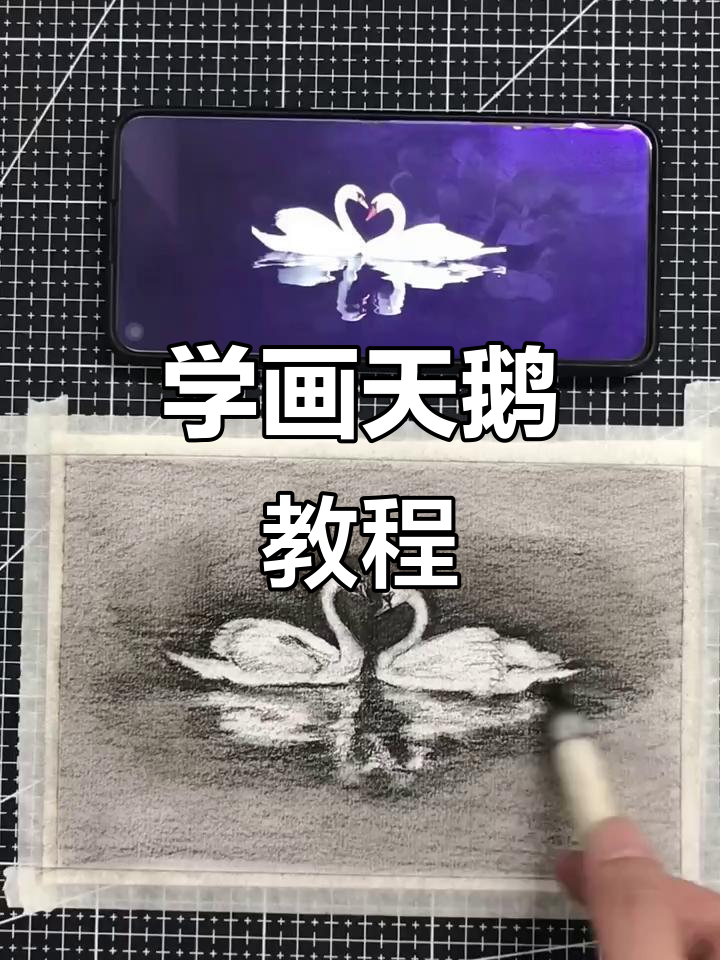 教你画天鹅，从线条到高光的完美过渡