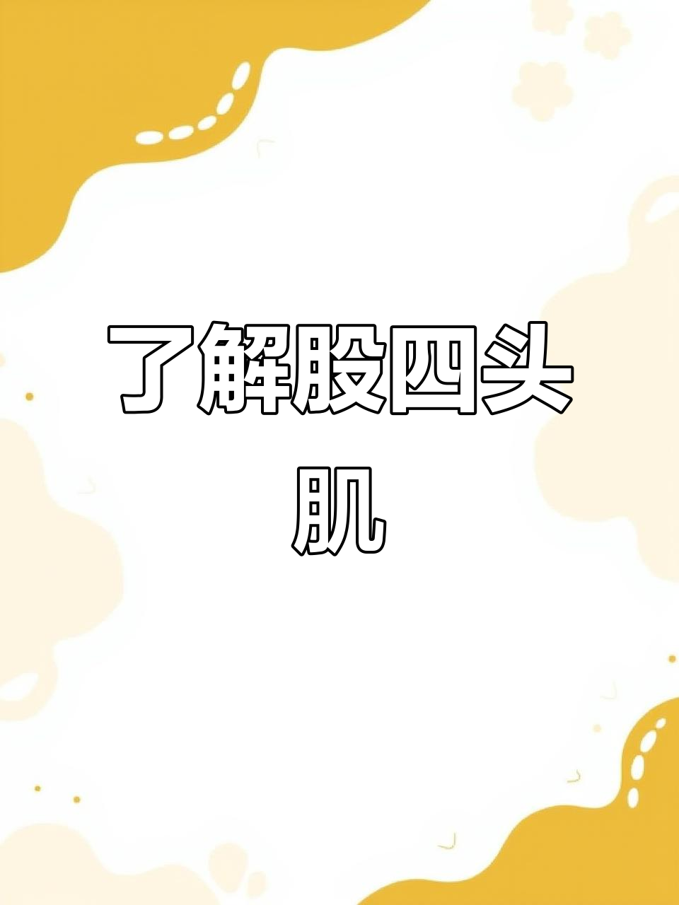 股四头肌:大腿前侧的肌肉与功能解析