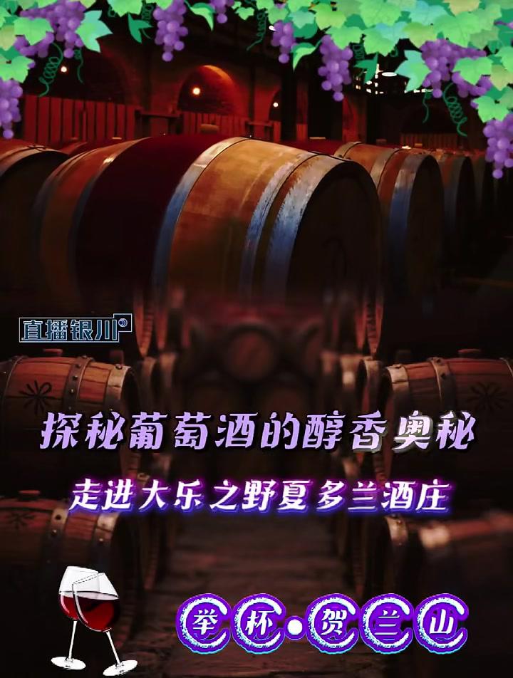 2025（宁夏银川）布鲁塞尔国际葡萄酒大奖赛——举杯贺兰山系列报道：探秘葡萄酒的醇香奥秘！
