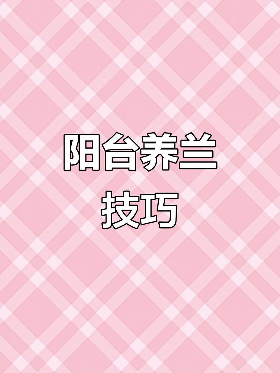 阳台兰花养护全攻略:湿度、光照、通风全都搞定