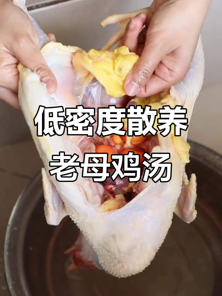 两年皖南土鸡,炖汤鲜香十足,肉质紧实有嚼劲