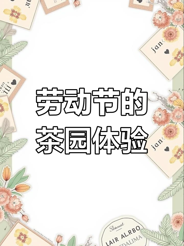 五一劳动节作文:采摘茶叶的乐趣与感悟