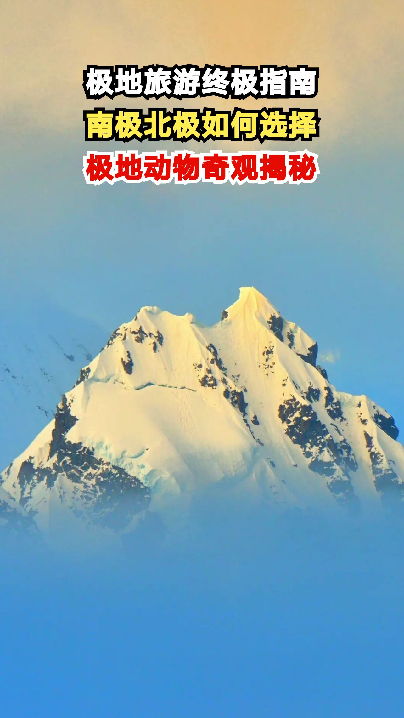 北极熊与企鹅的冰雪王国，揭秘极地旅行终极选择之谜